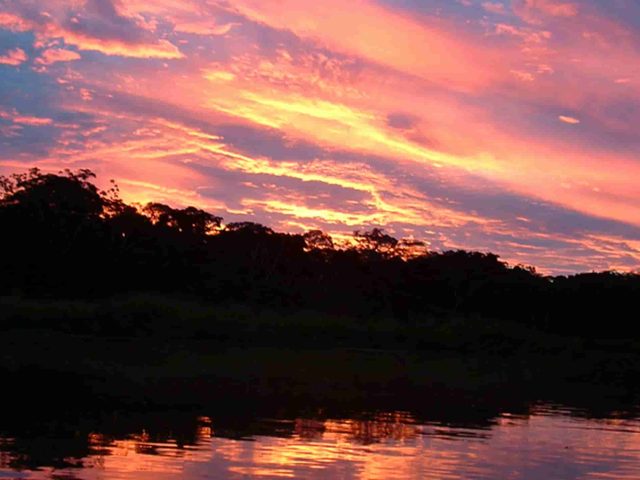 Jungle and Peru Historic